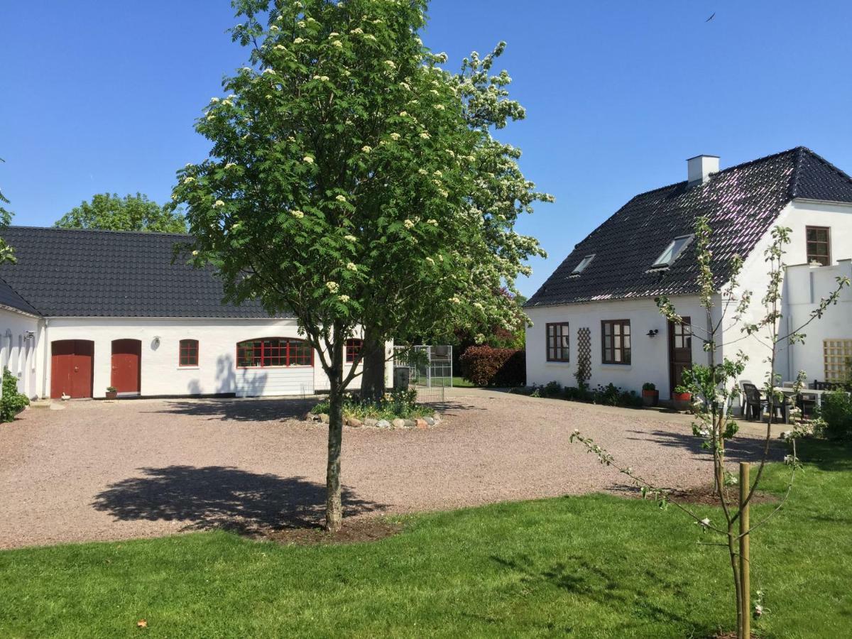 Apartmán Hegnsly Odder Exteriér fotografie